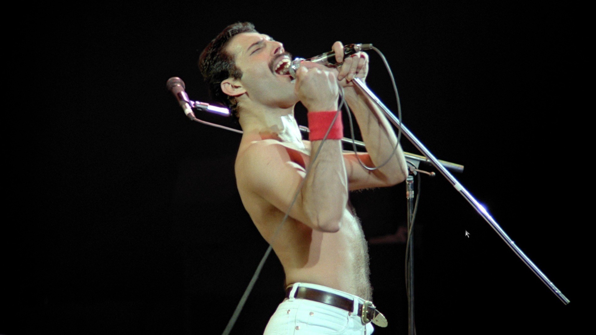 Freddie-Mercury-02